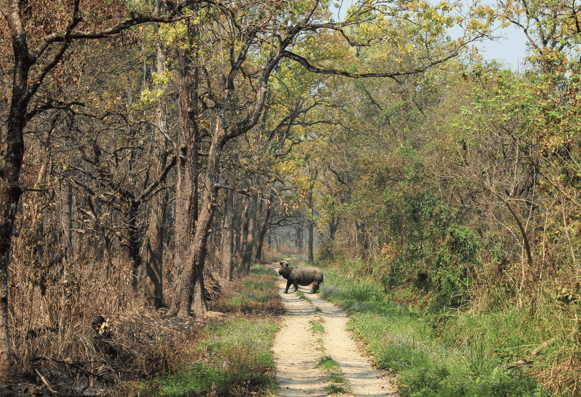 nature explore experience chitwan