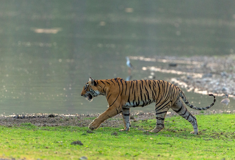 Nameri National Park