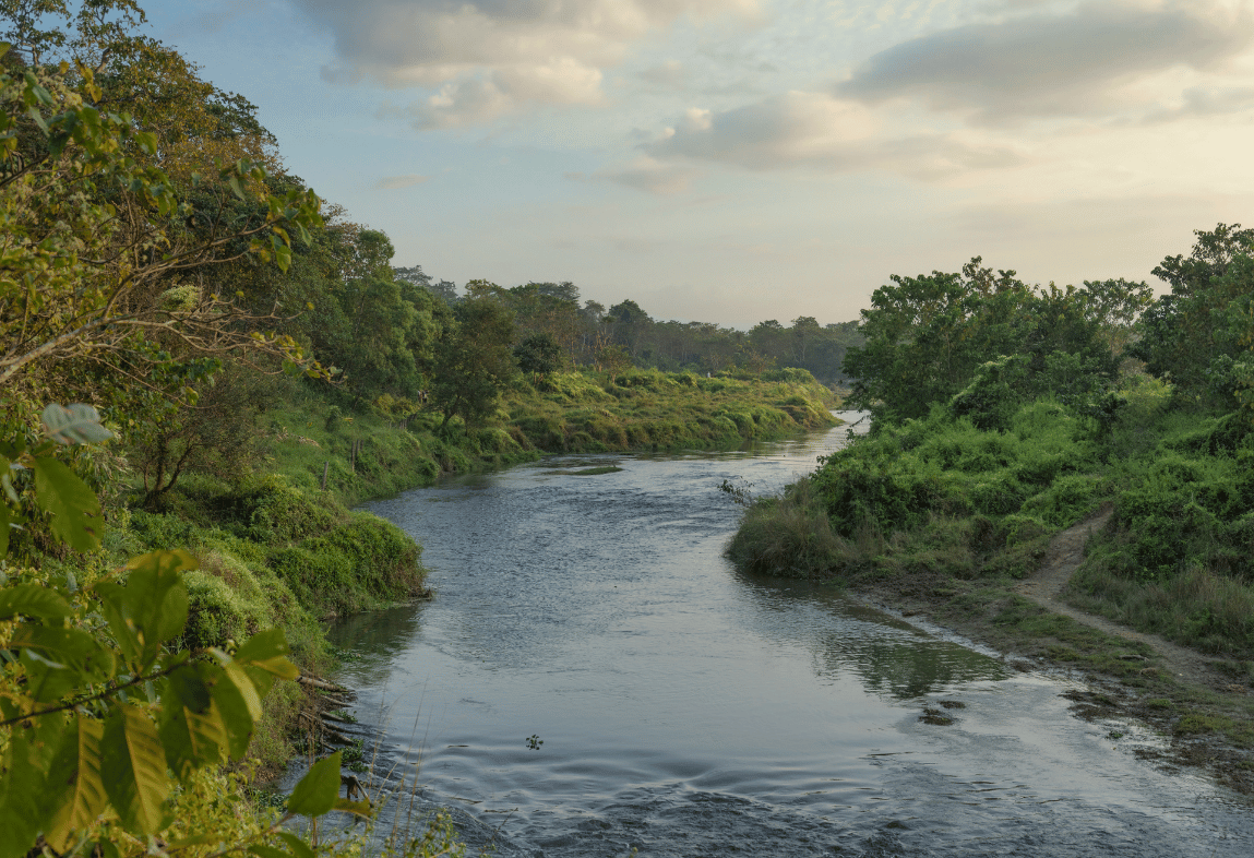 RIVER-TO-WILDERNESS SAFARI: FROM THE RAPTI TO THE JUNGLE